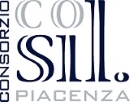 logo_CoSil (1)